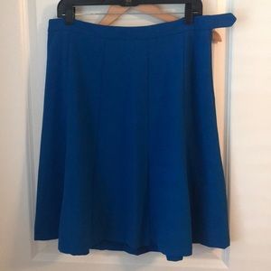 NWT Beautiful Blue A Line Skirt The Limited.